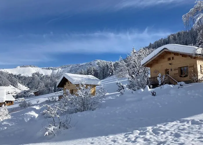 Chalets Savoie Les Chalets D\'Heidi