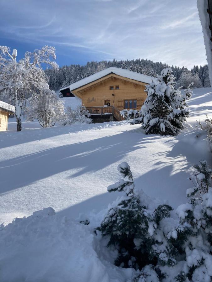 Savoie Les D'heidi Chalet *