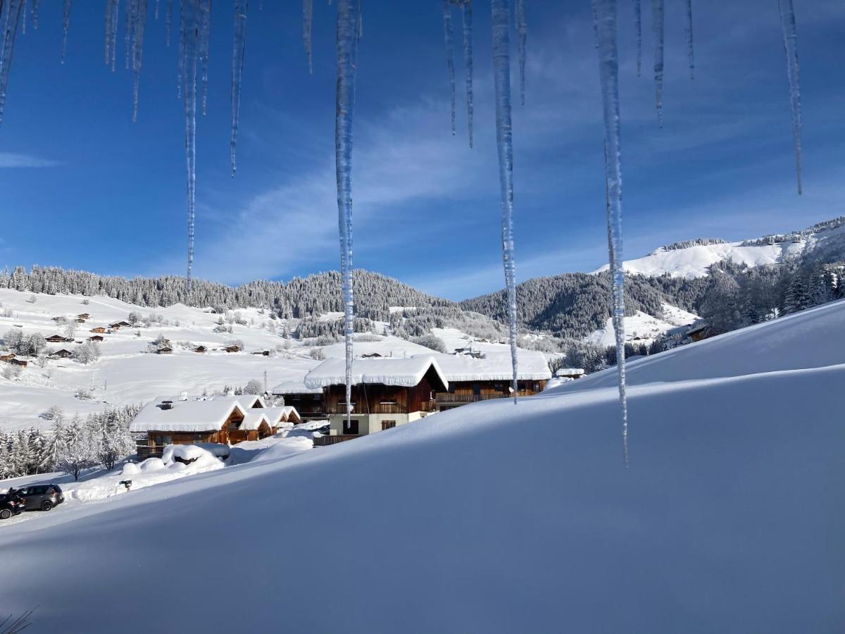 Chalet Savoie Les D'heidi *