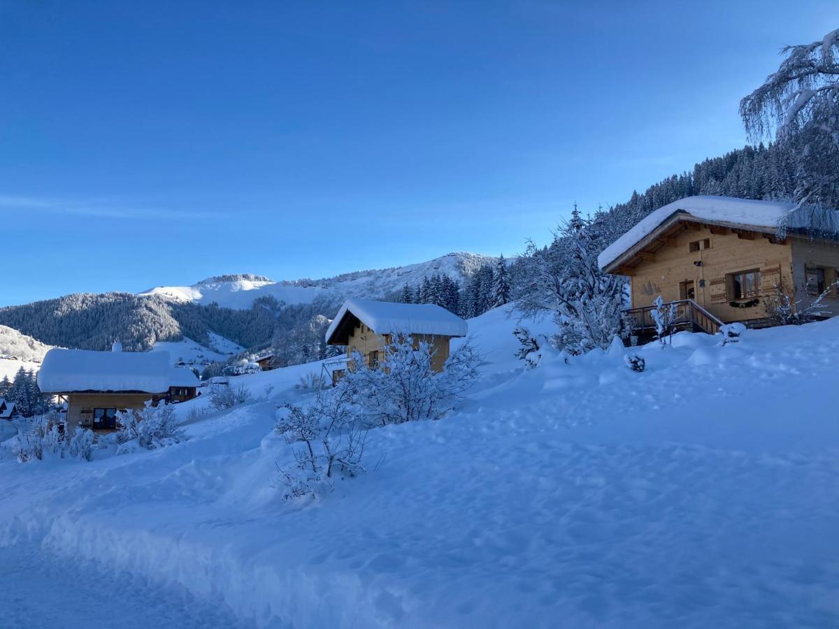 Savoie Les D'heidi Chalet