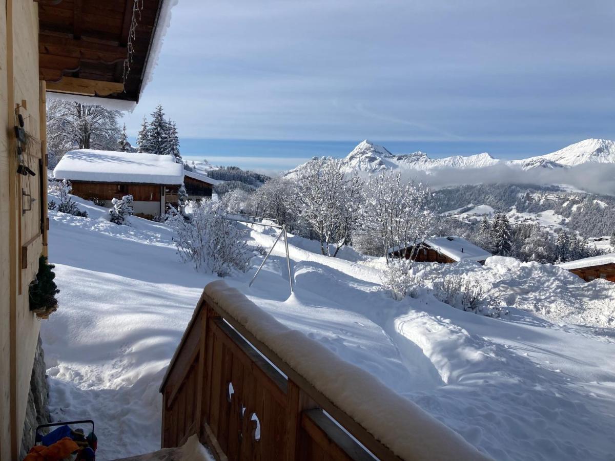 Savoie Les D'heidi Chalet *