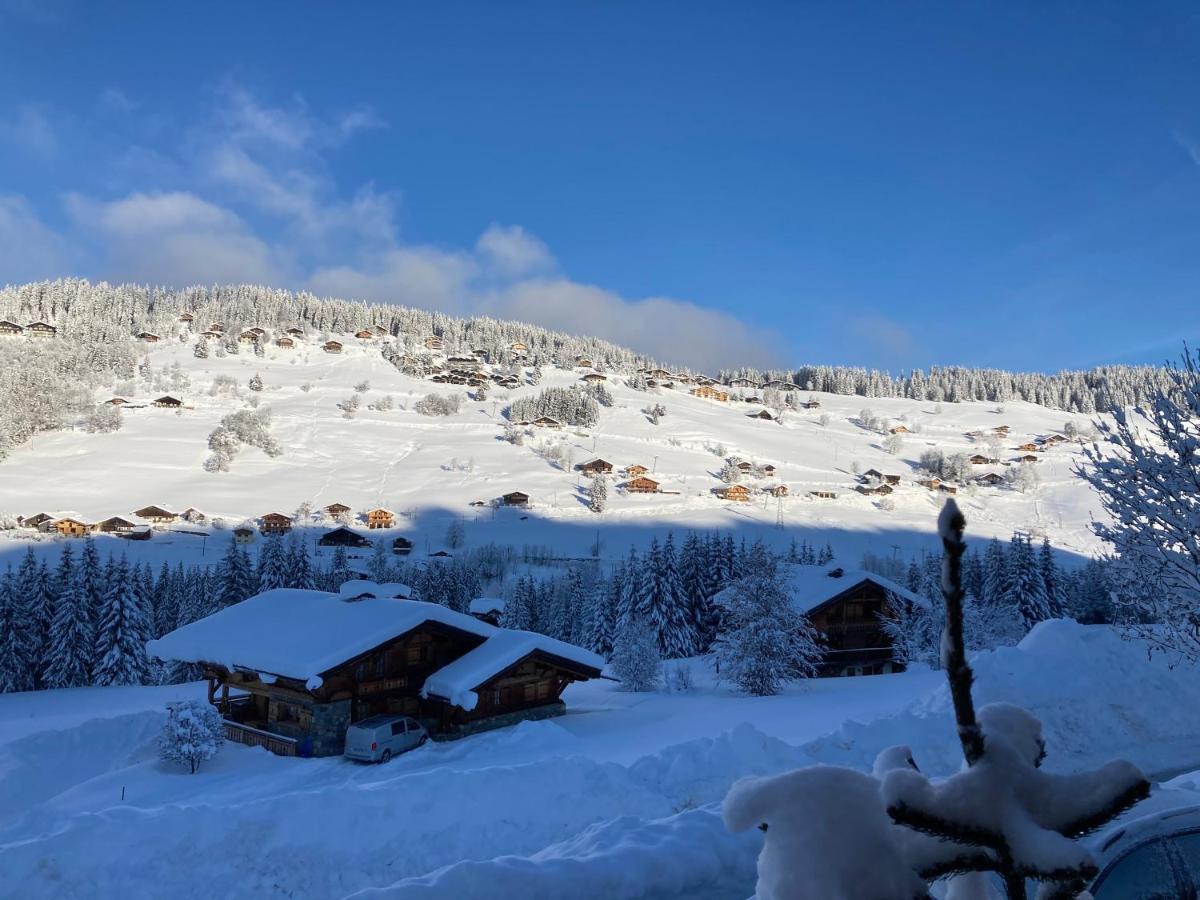 Chalet Savoie Les D'heidi