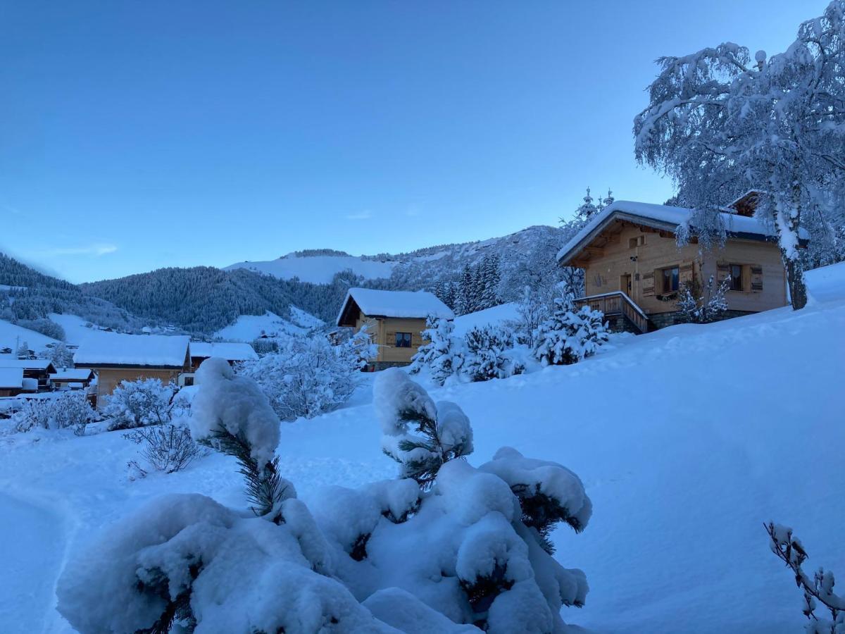 Chalet Savoie Les D'heidi *