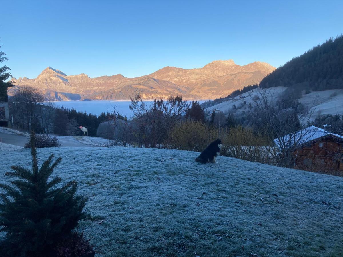Savoie Les D'heidi