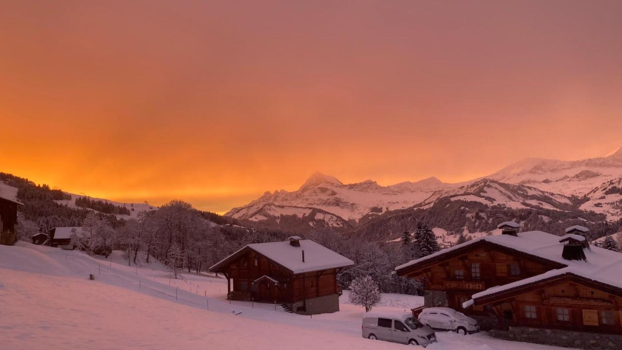 Savoie Les D'heidi * Notre-Dame-de-Bellecombe