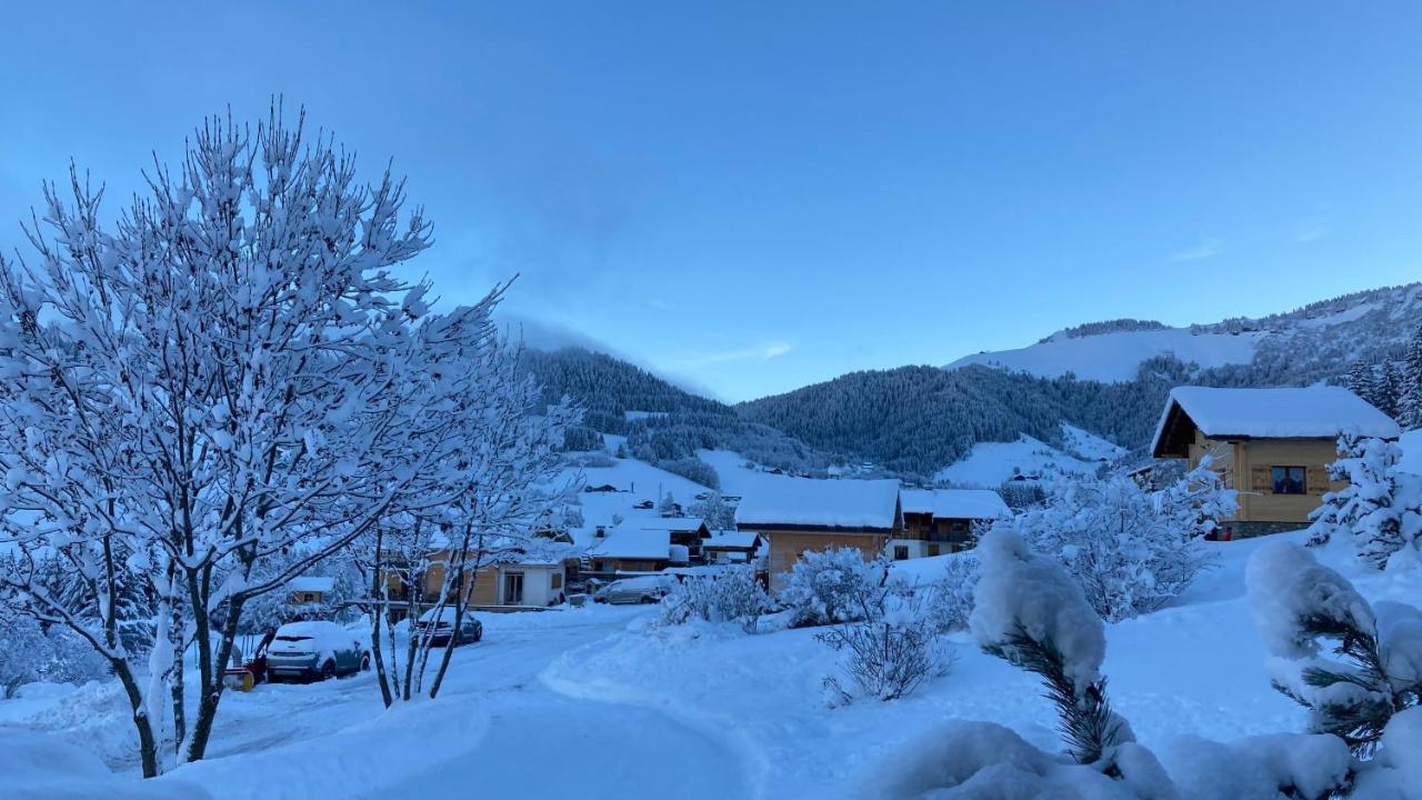 Savoie Les D'heidi Chalet