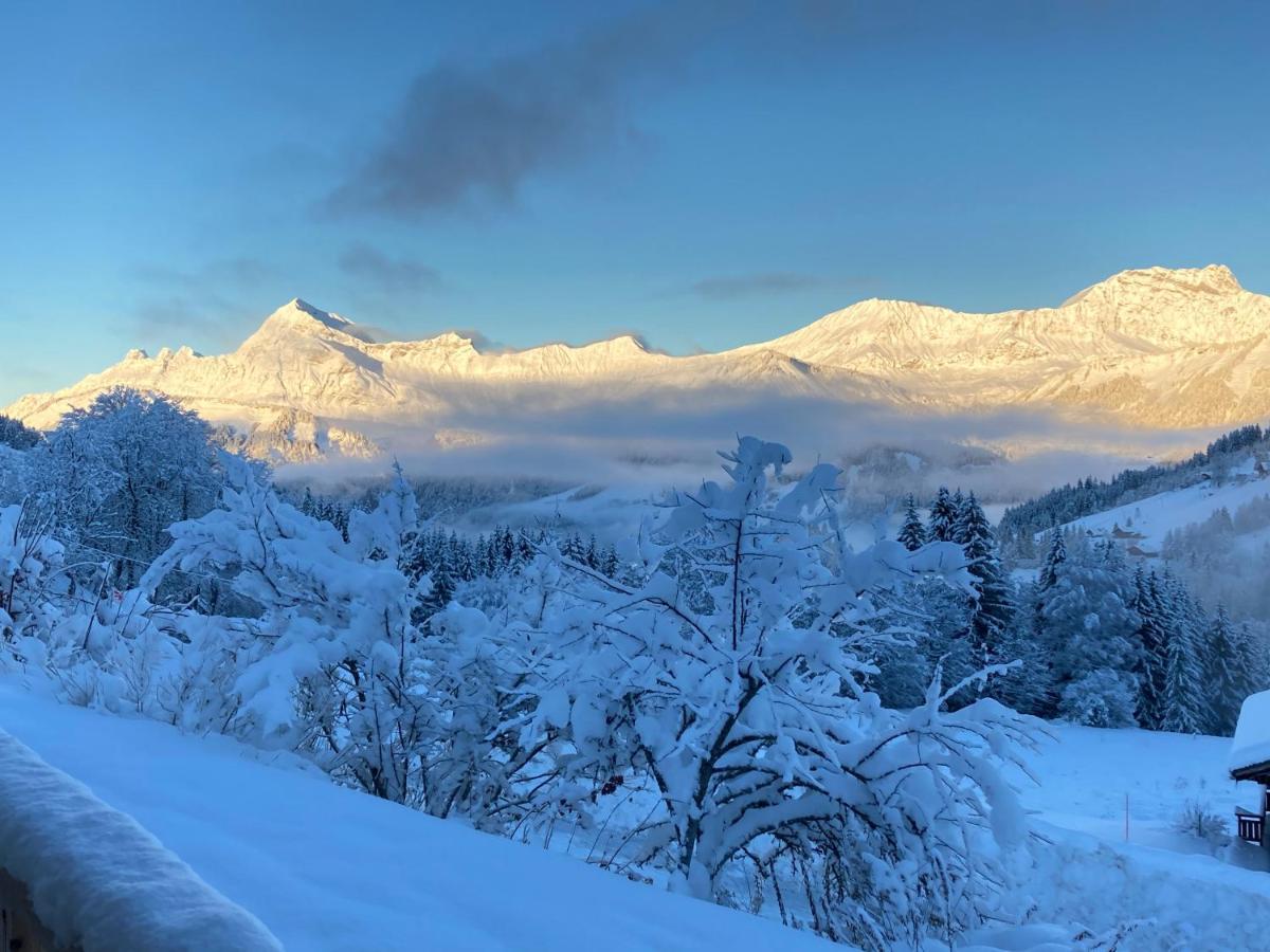 Chalet Savoie *