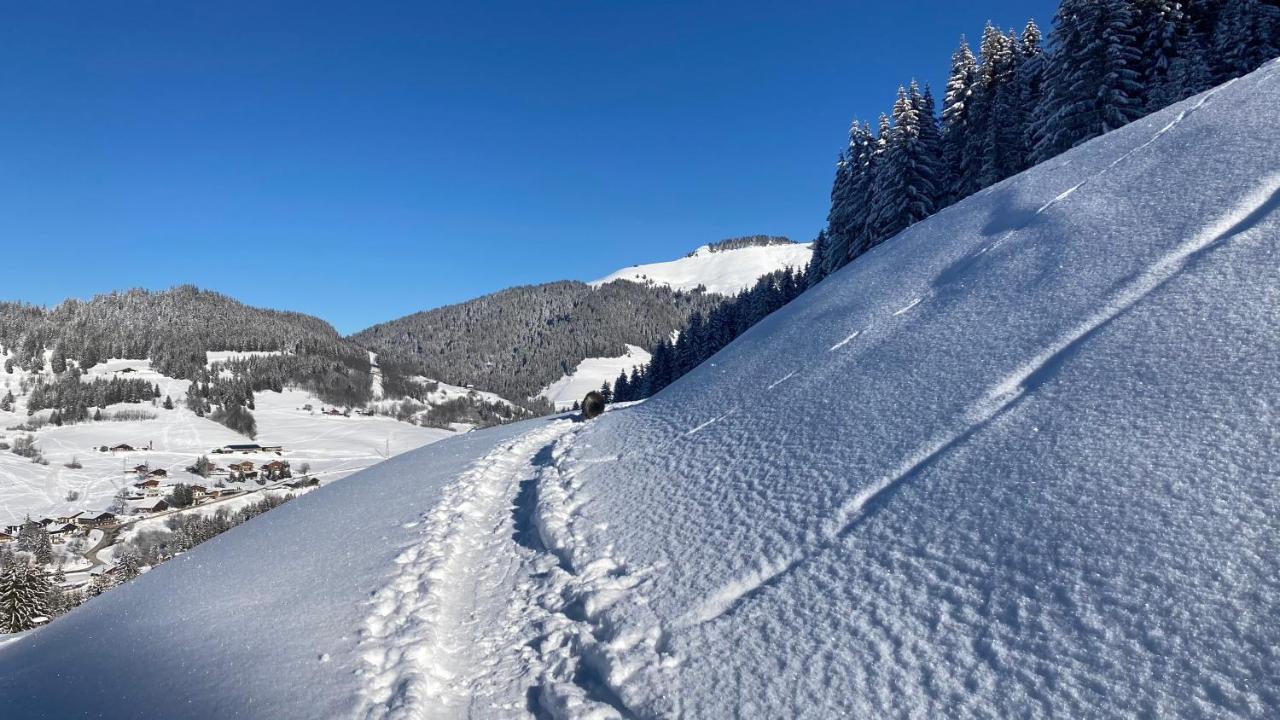 Chalet Savoie