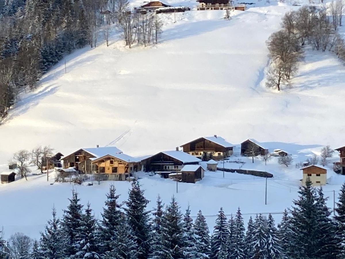Savoie Les D'heidi
