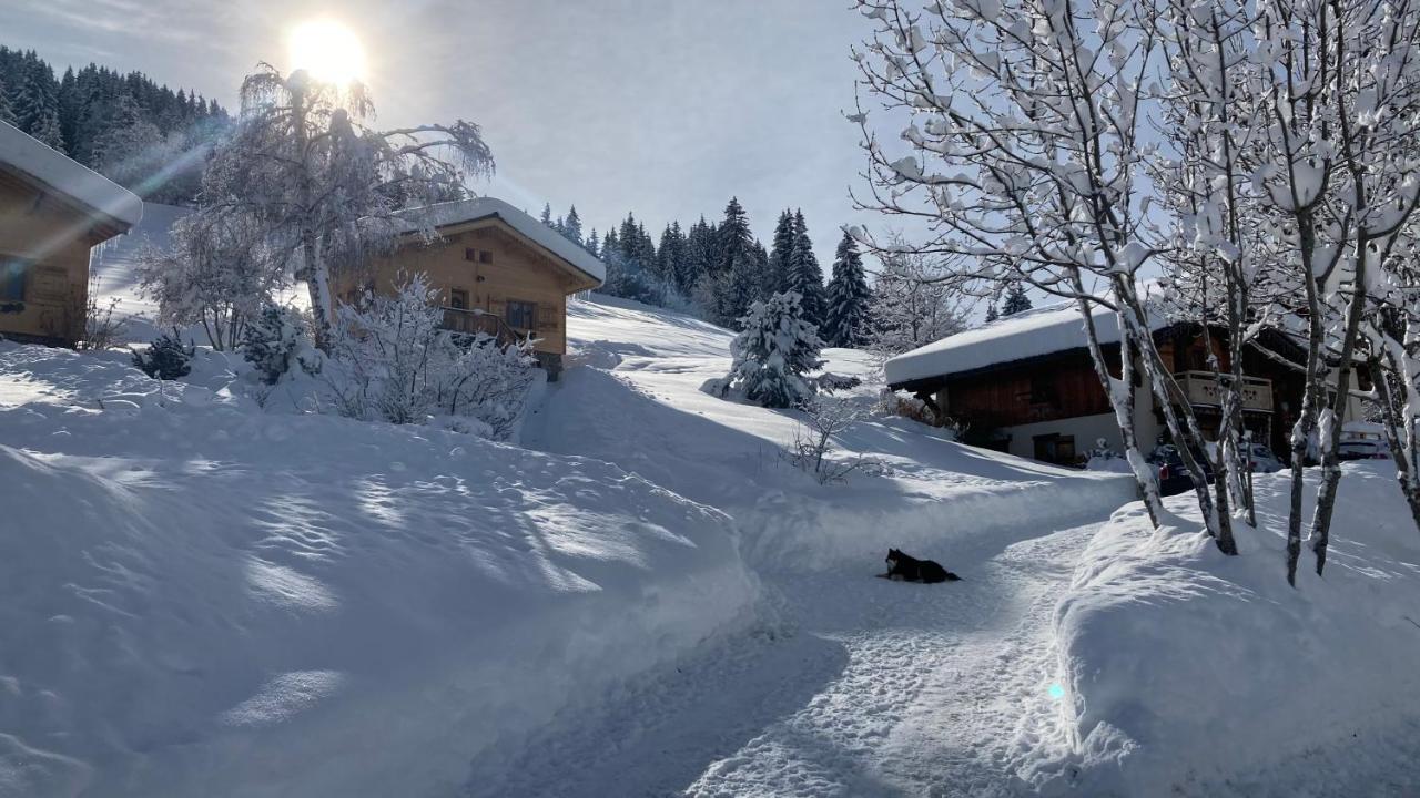 Savoie Les D'heidi Chalet