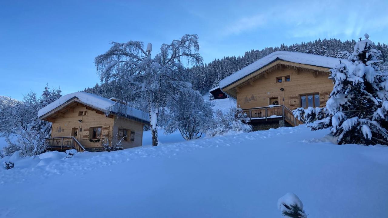 Savoie Les D'heidi Chalet