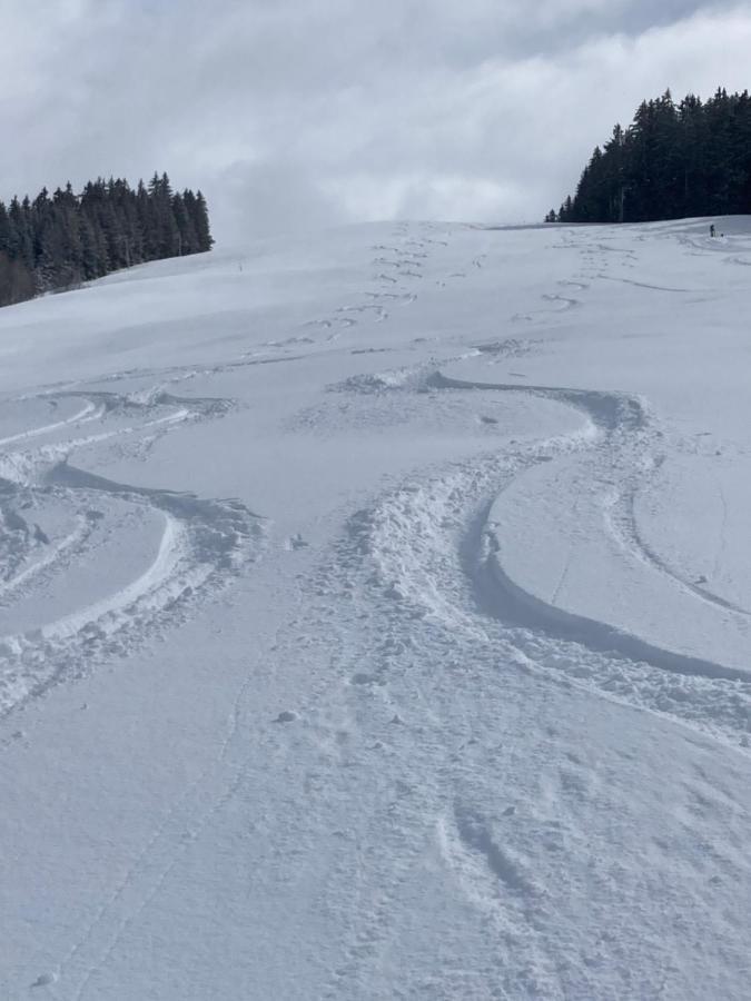 Savoie Les D'heidi