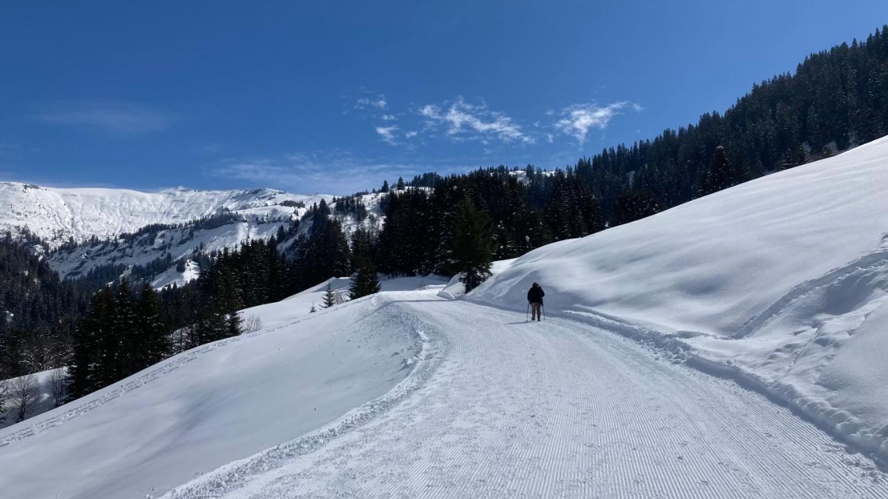 Savoie Les D'heidi Chalet Notre-Dame-de-Bellecombe
