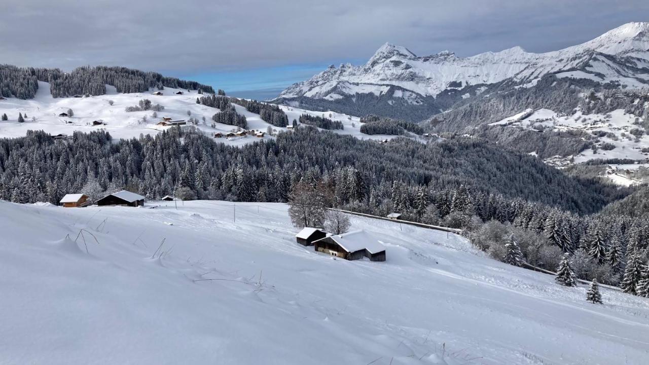 Savoie Les D'heidi * Notre-Dame-de-Bellecombe