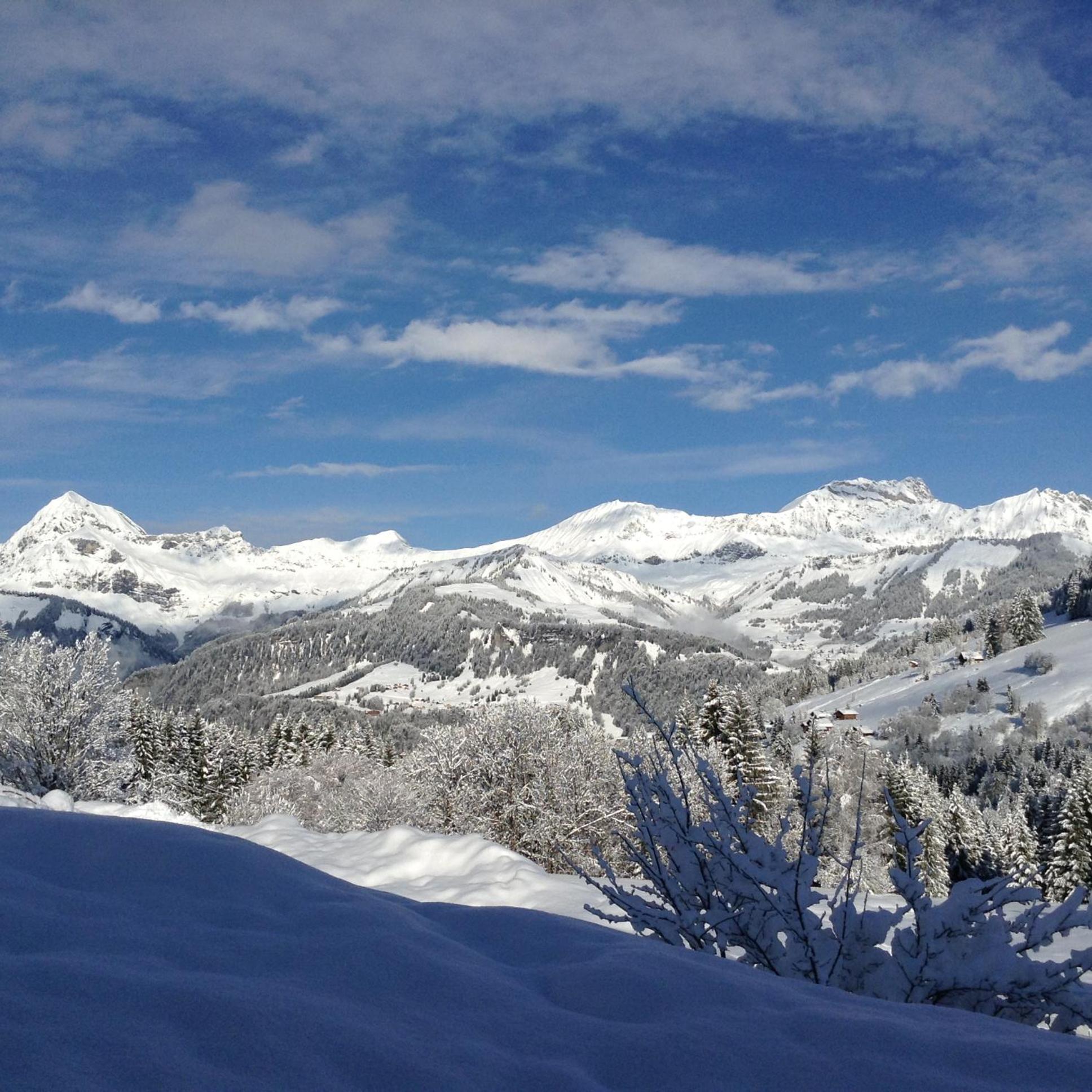 Savoie Les D'heidi Chalet