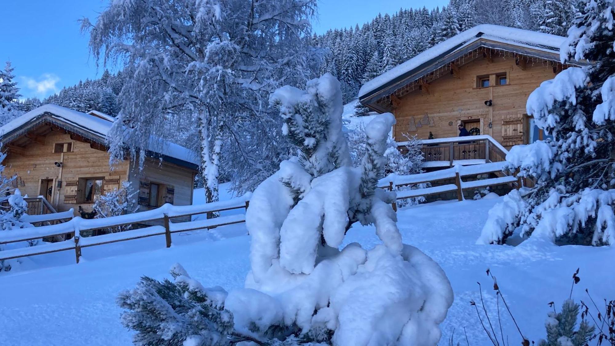 Chalet Savoie Les D'heidi Notre-Dame-de-Bellecombe