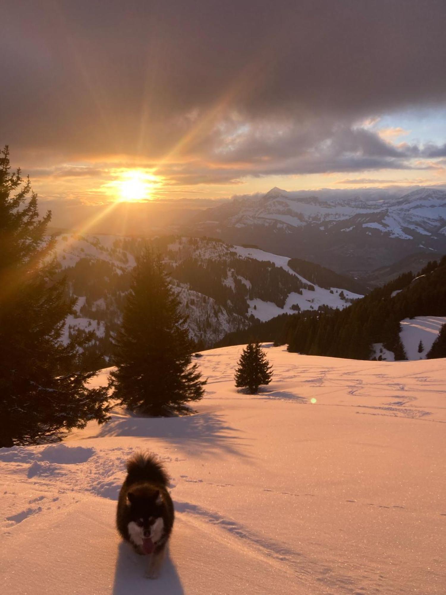 Savoie Les D'heidi Notre-Dame-de-Bellecombe