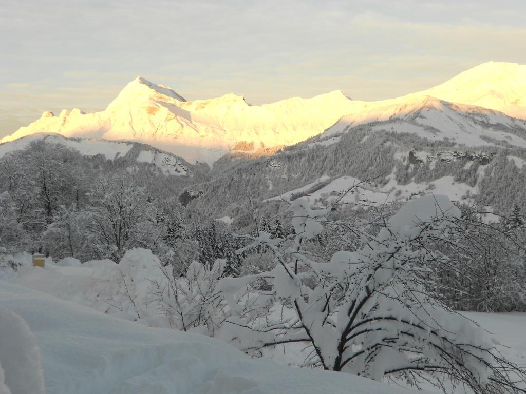 Savoie Les D'heidi *