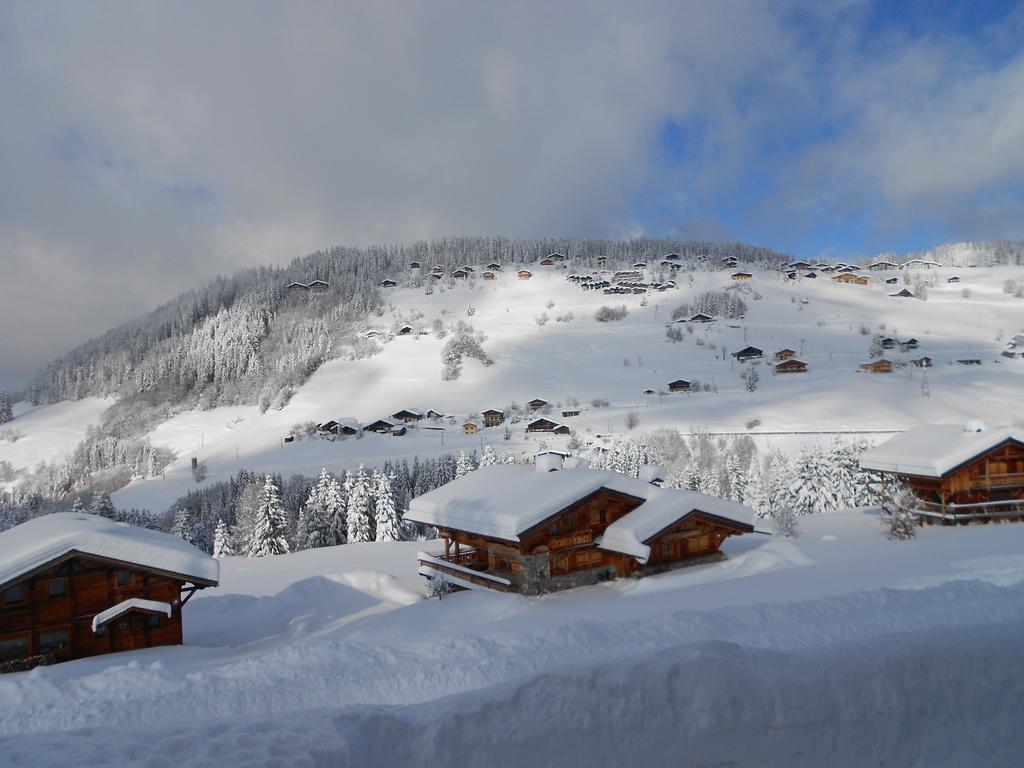 Chalet Savoie Les D'heidi