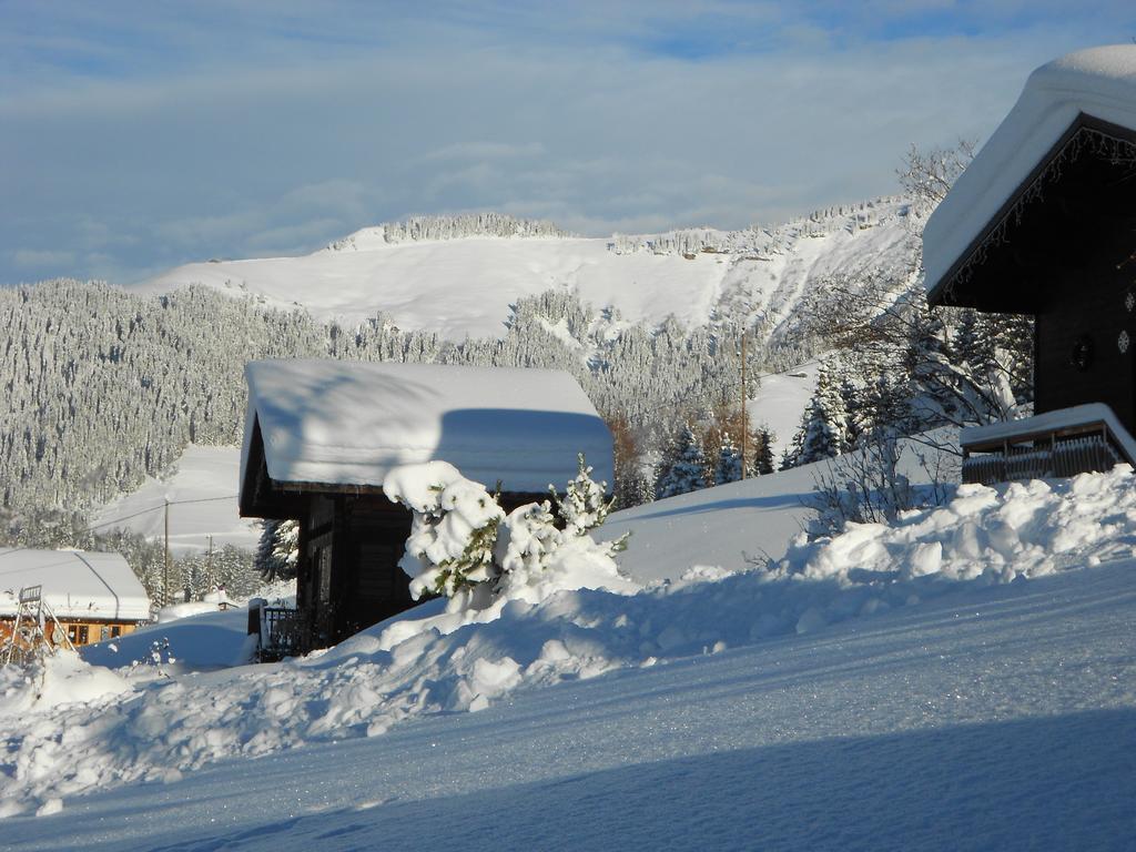 Savoie Les D'heidi Chalet