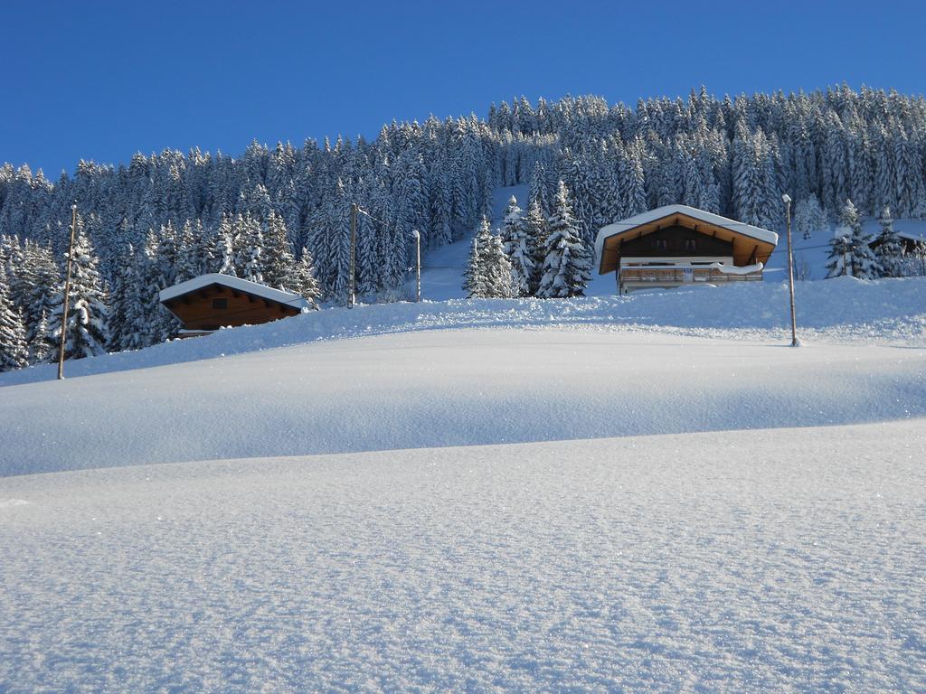 Savoie Les D'heidi Chalet *