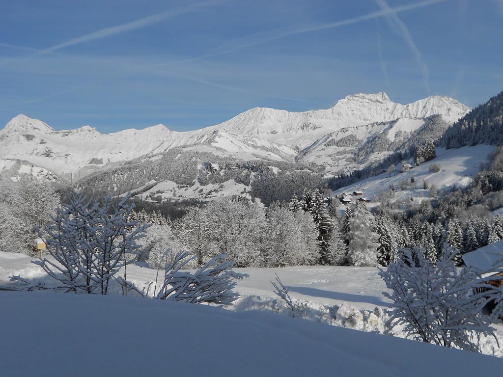 Savoie Les D'heidi Chalet Notre-Dame-de-Bellecombe
