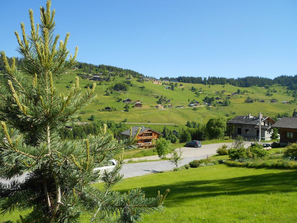 Savoie Les D'heidi Chalet Notre-Dame-de-Bellecombe