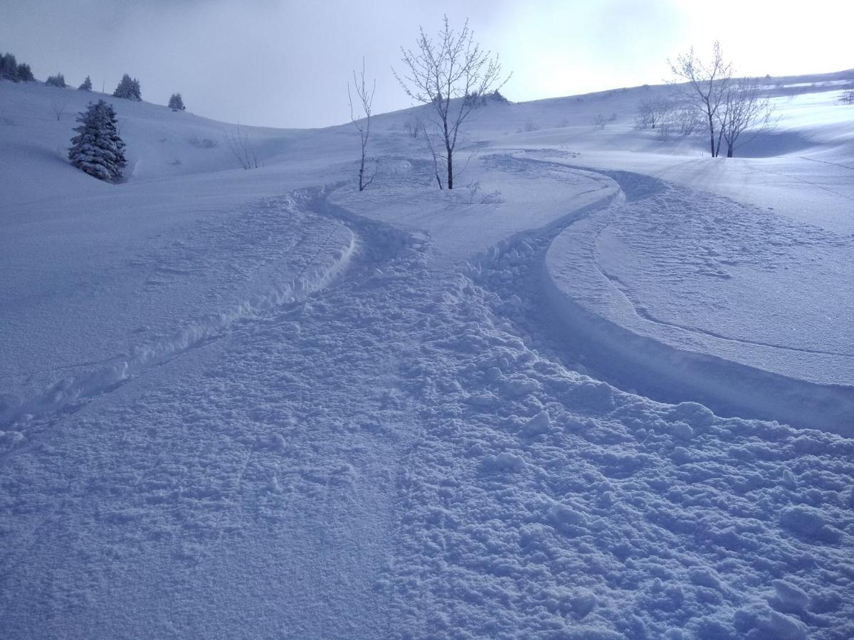 Savoie Les D'heidi Chalet *